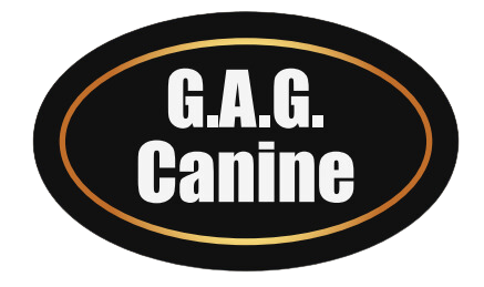 Gag Canine